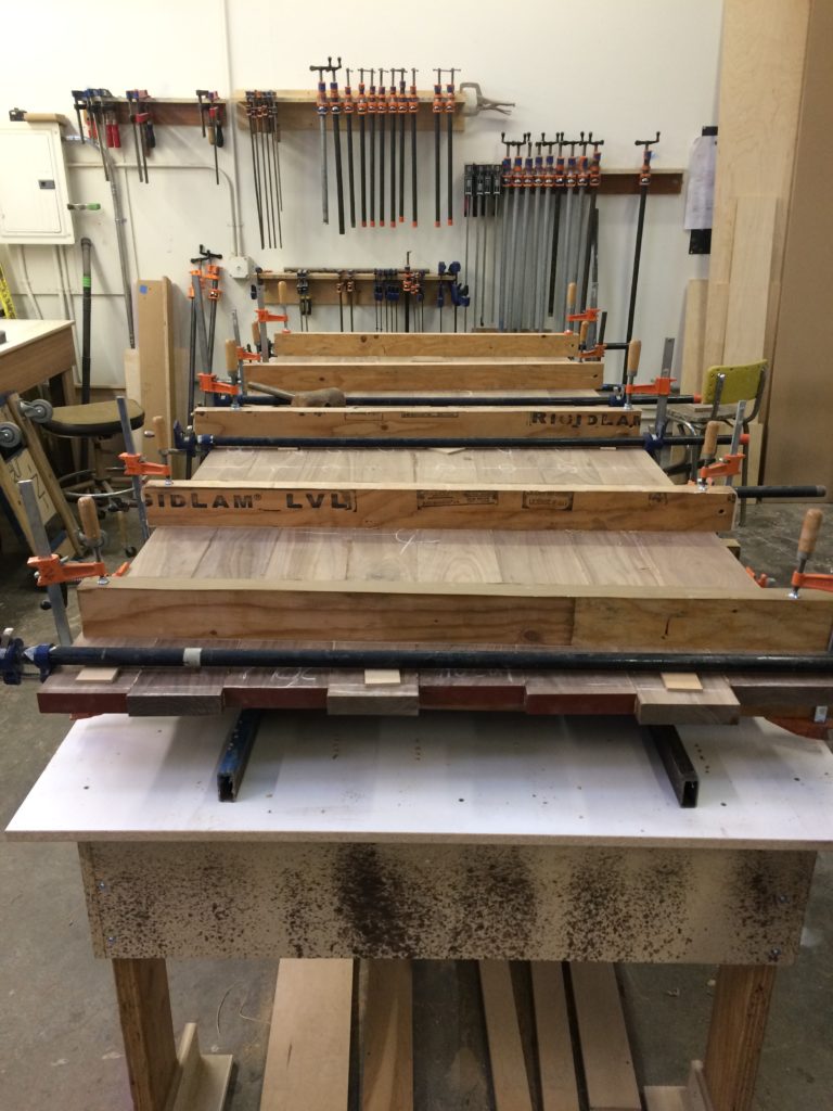 Walnut glue-up